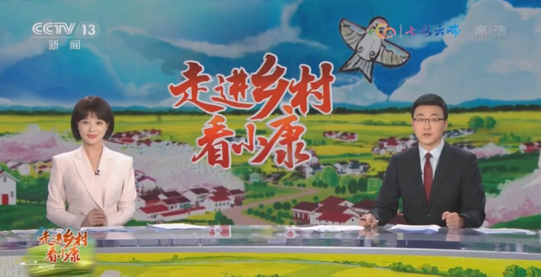 中央5+今日现场直播：权威专家解读，多元报道手法引领新闻时代