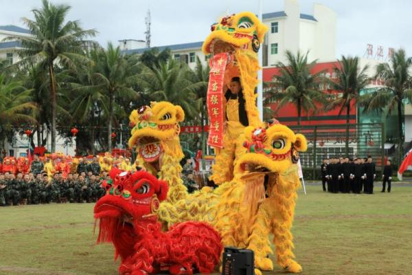 五大联赛现场直播，体验足球带来的激情与兴奋